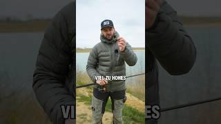 Darum fischst du am Zander vorbei! # #angeln #bigbait #zander #zanderangeln #jigkopf #jighaken