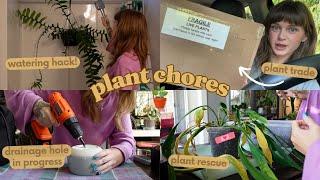  2 days of plant chores  packing a plant trade, massive repot, saving yellow plants, & more!