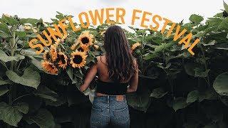 WE FOUND A SUNFLOWER FIELD  | TWIN COAST