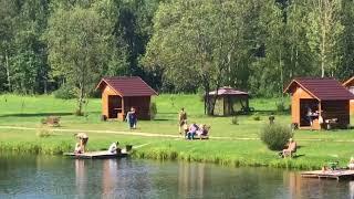 Обзор рыболовной усадьбы «Золотые караси»