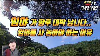 (대박) 부동산 임야를 투자 해야하는 이유 농지보다 나은 임야재테크의 포인트와 향후 임야가치 재평가-일반 부동산재테크 전원주택 펜션 토지 전문 프로공인중개사/건축기사