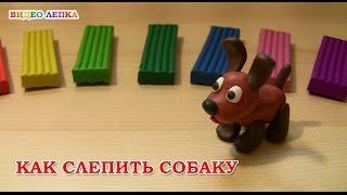 The dog made of plasticine | Modeling Video