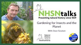 Gardening for Insects and the Planet with Dave Goulson