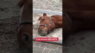 Как прекрасен этот мир посмотри #школаверховойезды