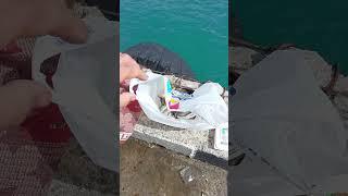море сегодня #крым рыбалка