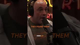 Joe Rogan On The Mysterious Orang Pendek Ape