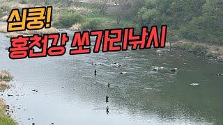 [20220423] 심쿵! 홍천강 쏘가리낚시 | 루어낚시 | lure fishing