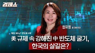 [성기영의 경제쇼] 특집 Why 반도체 4부 "미 규제 속 강해진 중 반도체 굴기, 한국의 살길은? - 안유화 미 어바인대 교수ㅣKBS 240711 방송