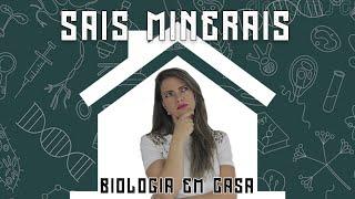 SAIS MINERAIS E SUBSTÂNCIAS INORGÂNICAS - BIOQUÍMICA