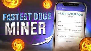 Free 14,900 Dogecoin + Hamster Kombat Daily Combo Cards Day 18 - Old Mining Site | Crypto News Today