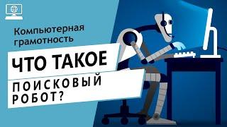 Значение слова поисковый робот. Что такое поисковый робот.