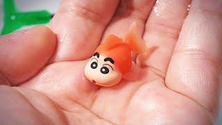 I caught a Shin-chan goldfish