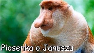 Piosenka o Januszu (Ogórek, Ogórek, Ogórek-Parody)