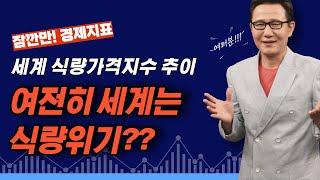 [잠깐만 경제지표] 세계 식량가격지수 추이.....여전히 세계는 식량위기? [정완진TV]