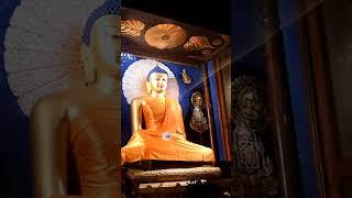 #day6 MAHABODHI TEMPLE BODHGAYA #buddha #temple #mahabodhitemple #latest #bihar #bihartourism