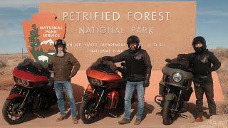 2LaneLife Takes on the Petrified National Forest! | Winter Motorcycle Road Trip