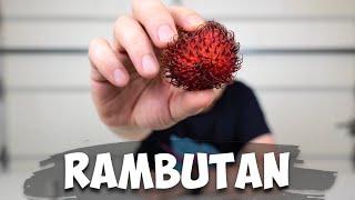 Rambutan Taste Test - The Hairy Fruit