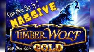 Timber Wolf Gold Massive max bet wins Check out the video watch until the end of @Redowlcreations