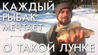ЗАВЕТНАЯ ЛУНКА РЫБАКА / КАЖДЫЙ МЕЧТАЕТ О ТАКОЙ ЛУНКЕ