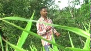 mulachawo  ayano   እሎስ  ማ