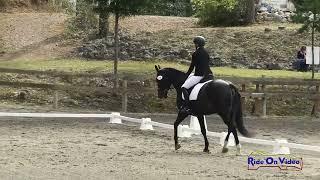 249D Susan Harrel on ODonnells Riverdancer Beg. Novice Amateur CH Dressage Aspen Farms Sept. 2024