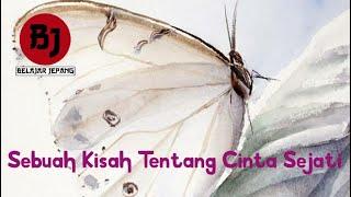 Kisah Cinta Kupu - Kupu Putih