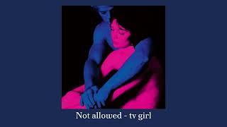 Not allowed - TV girl ll° ᡣ𐭩 . ° .