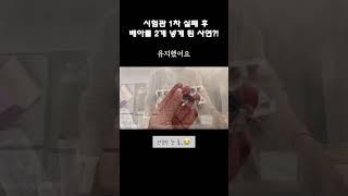 #시험관 #시험관시술 #시험관브이로그 #임신준비 #임신 #쌍둥이 #쌍둥이임신 #임신기록 #임신브이로그 #앙꼬앙금 #앙꼬앙금맘