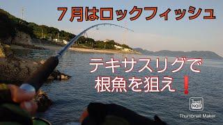 ７月の「ロックフィッシュ」テキサスリグで根魚を狙え#ロックフィッシュ #テキサスリグ #アコウ #キジハタ