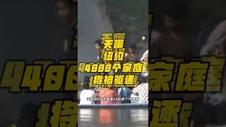 纽约将有4000个移民家庭被驱逐 #美国移民 #庇护 #政治庇护 #绿卡 #美国生活 #婚姻绿卡 #mexico