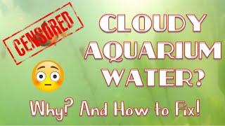 Cloudy Aquarium Water? Causes & Cures!