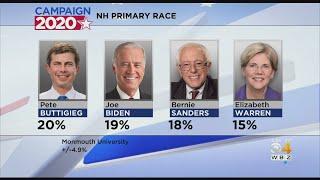 Warren Down, Buttigieg Up In NH Poll Showing 4-Way Race Among Democrats