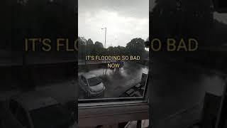 FLOOD :( #roblox #youtube #baconroblox #mrbacon #tiktok