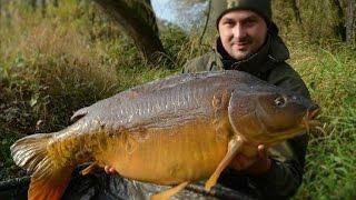 Nash Tackle Polska - Promo - Wędkarstwo Karpiowe