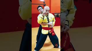 How to Train Like a Kung Fu Master