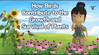 A WonderGrove for Birds: How Birds Contribute to the Growth and Survival of Plants