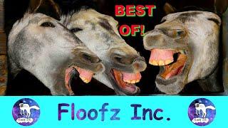Best of Floofz Inc.  Last 30 Videos I Part 6!