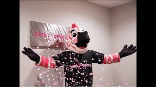 Pink Zebra Moving Customer Testimonials
