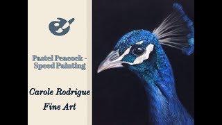 How to Draw Wildlife in Pastels - Peacock Speed Painting Demonstration