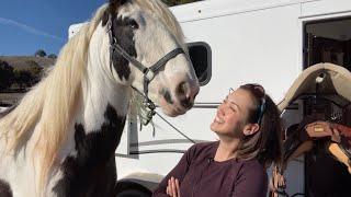 How to know if you’re ready to buy your first horse.