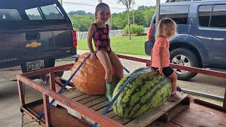 How To Grow A Fair Winning Watermelon Tips And Tricks