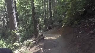 Demo Flow Trail 7 4 20