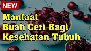 Manfaat Buah Ceri Bagi Kesehatan Tubuh