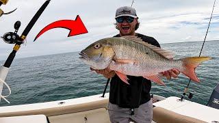 Catching a MUTTON SNAPPER on Pinfish {catch and cook}