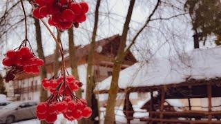 Papa la Șoni Gastro-Pensiune, Borsec, Romania