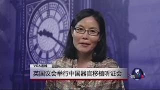 VOA连线：英国议会举行中国器官移植听证会