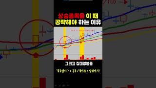 [주식] 상승종목을 이 때 공략해야 하는 이유