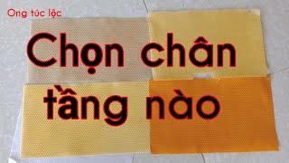 Nuôi ong nội | chọn loại chân tầng nào ong xây nhanh nhất. #ong túc lộc#