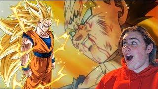 NEW YEARS CELEBRATION! TRANSFORMING SSJ3 GOKU & MAJIN VEGETA ARE BROKEN-Dragon Ball Z Dokkan Battle