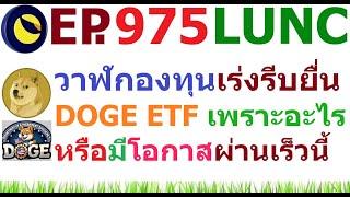 [Ep.975] วาฬกองทุนเร่งรีบยื่น DOGE ETF เพราะอะไร หรือจะเป็นเหรียญมีมเหรียญแรกที่ได้ ETF